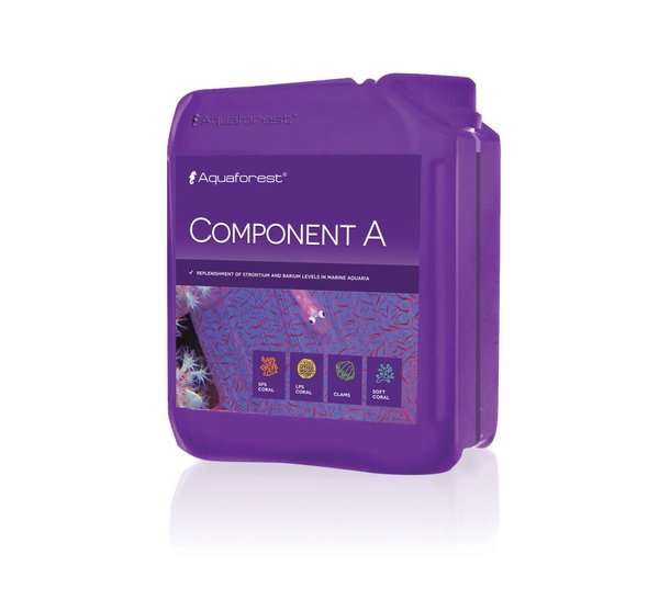 Component A 2000 ml