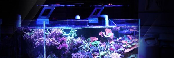 Maxspect Ethereal Modul 130W