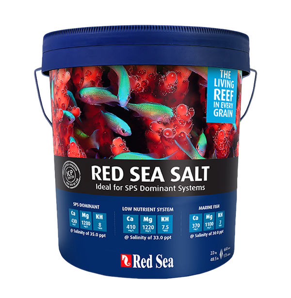 Red Sea - Salz
