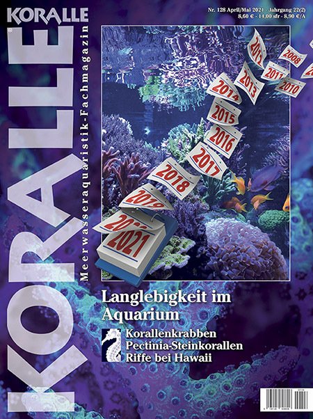 Koralle Magazin 128