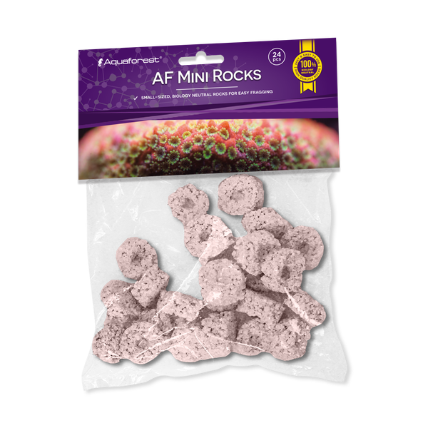 AF Mini Rocks PURPLE