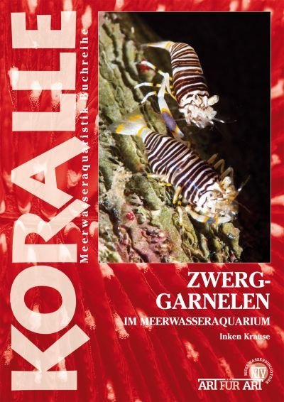 Koralle Zwerg-Garnelen