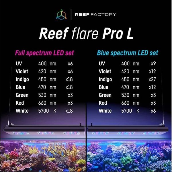 Reef Factory Reef flare PRO BLUE