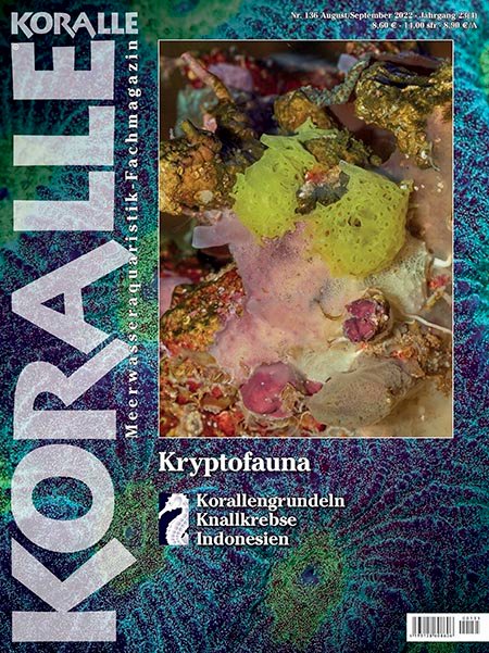 Koralle Magazin 136