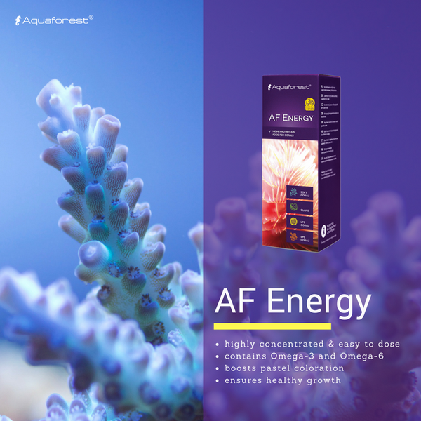 Aquaforest AF Energy
