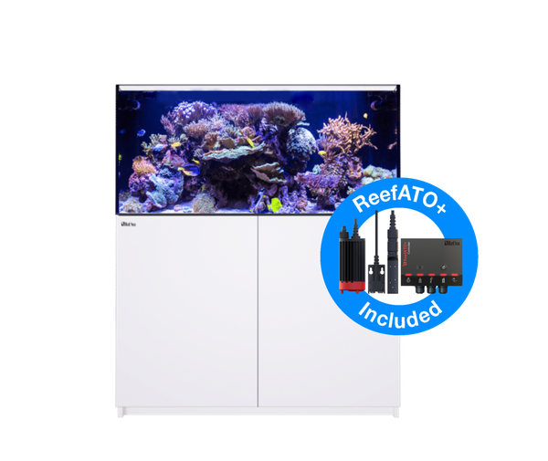 Red Sea REEFER G2+ 425