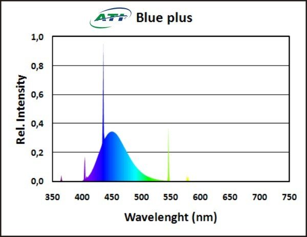 ATI Blue Plus – Basisröhre