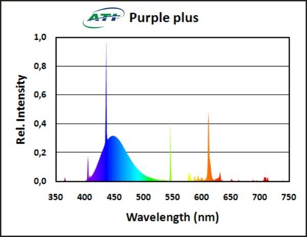 ATI Purple Plus – Ergänzungsröhre