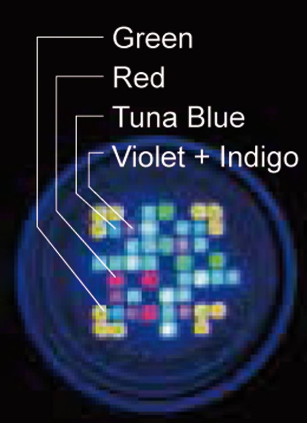 LED A360X Tuna Blue
