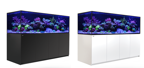 Red Sea REEFER-S 1000 G2+