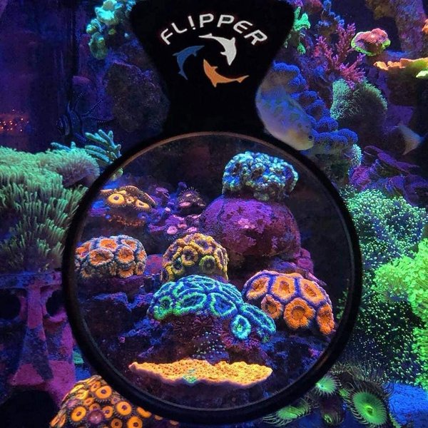 Flipper DeepSee Standard Lupe