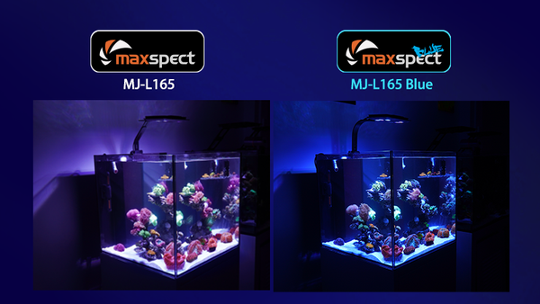 Maxspect Jump LED 65W BLUE