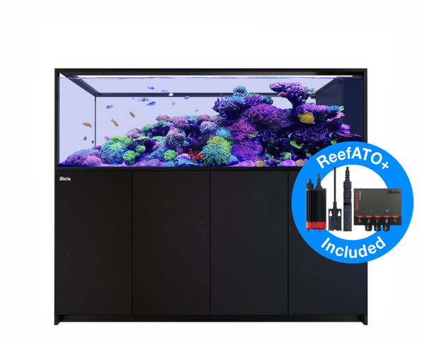 Red Sea REEFER Peninsula G2+ S-950