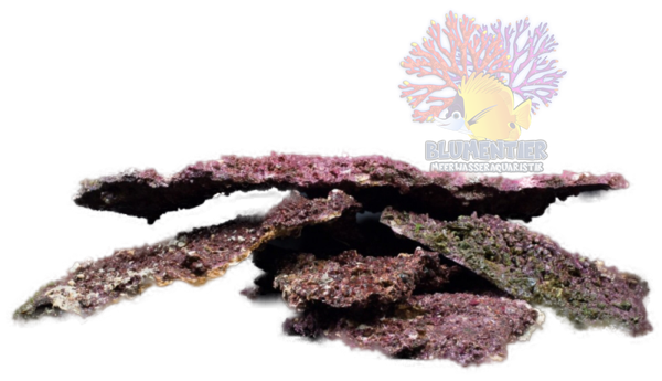 Real Reef Rock Shelf Rock 1 kg